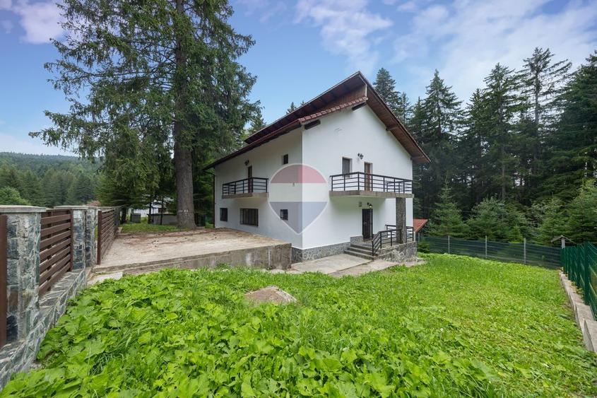 Casa 5 camere | viata la marginea padurii, intre brazi si liniste