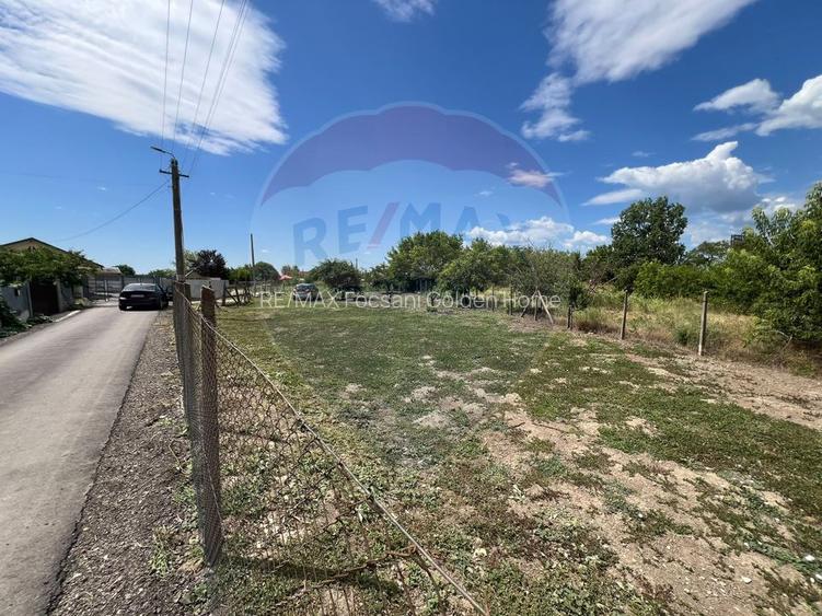 Teren 4,900mp intravilan Bizighesti - 3