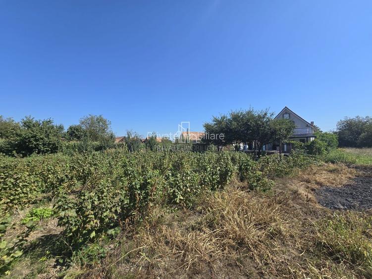 Casa cu piscina, 3450 Mp suprafata teren, Albesti, Mures - 23