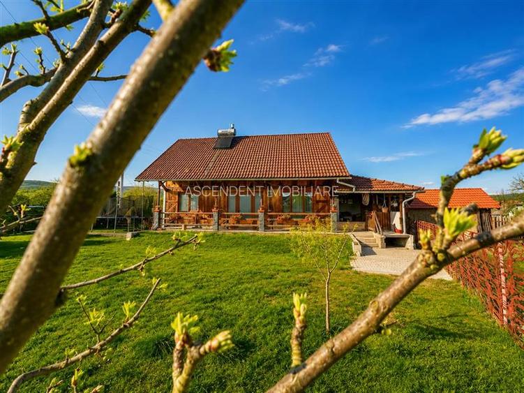 Tur Virtual & Film! Casa cocheta, constructie noua, peste 800mp teren - 19