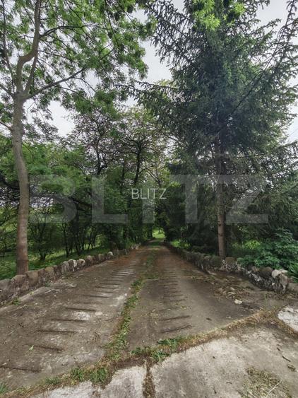 Oportunitate Investitie! Teren intravilan 14000 mp in Cheia