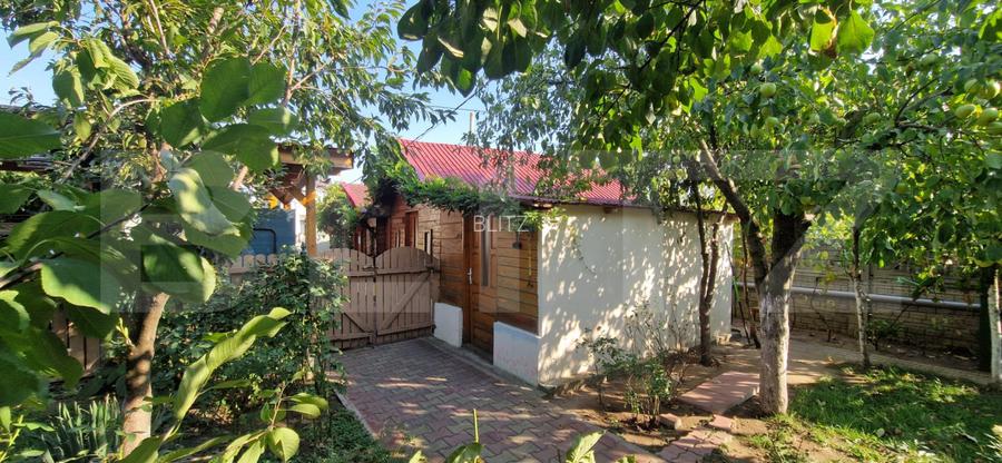 Vila P+1, 270 mp, 741 mp teren, zona Catargiu - 3