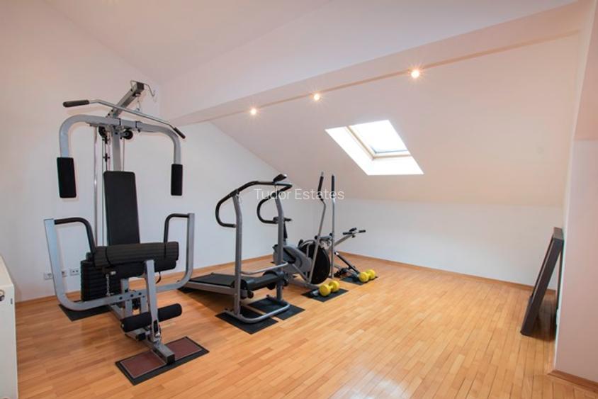 Fully furnished villa in Pipera - 10
