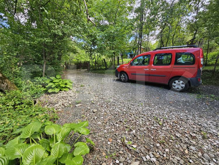 Casă de vânzare, 100 mp, teren 10.000 mp, zona Almașu Mare - 9