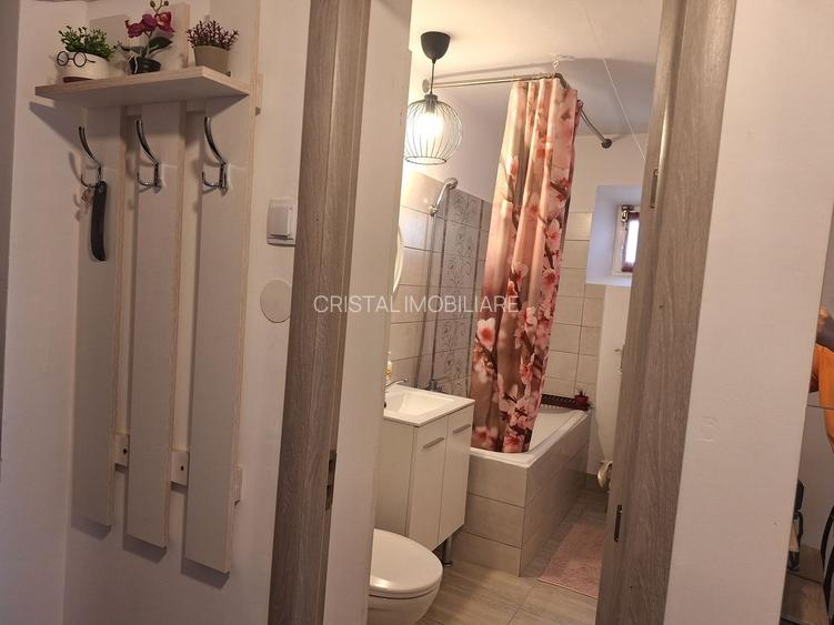 De Închiriat Garsoniera langa Mall Vitan, Petfriendly - 18
