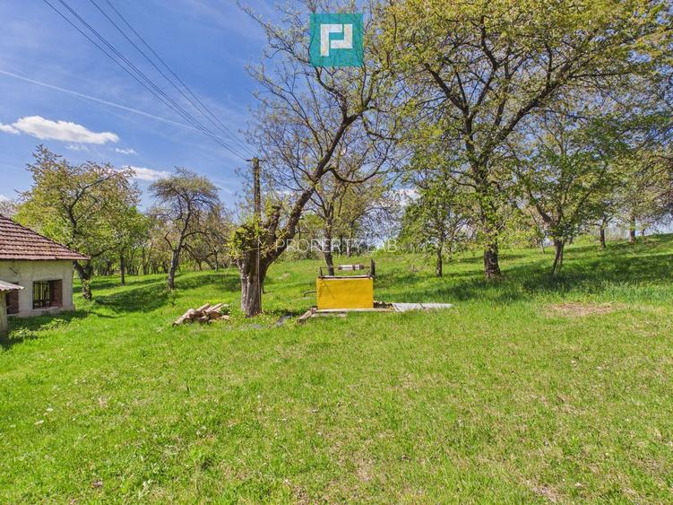 Proprietate rară cu 24.270 mp, în Măgulicea, Arad!