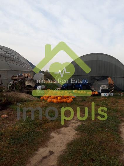 🗺️ Teren intravilan in Jupani (Timis), 10,19 Euro/mp.✨ - 2