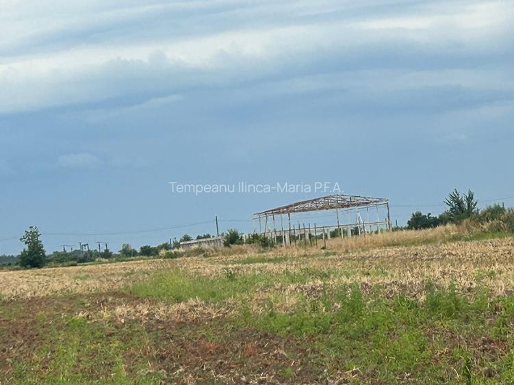 Vanzare Teren Extravilan 20.113 mp Otopeni Odai deschidere la 2 strazi, - 5