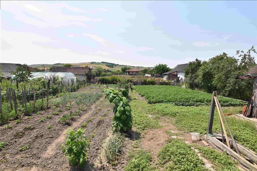 Casa P+M de vanzare in Pagaia