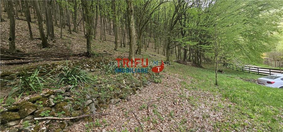 Casă de vacanță la pădure | Teren 891 mp | Valea Ighielului - 30