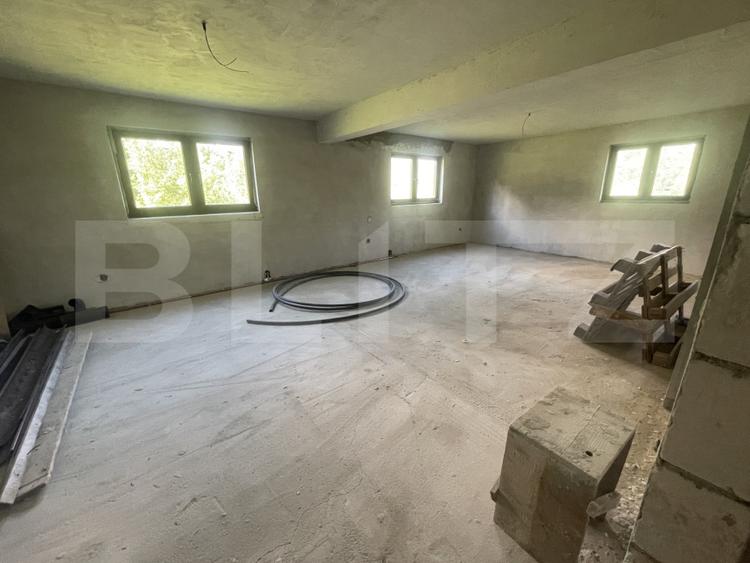 Casa 4 dormitoare, 160 mp + 78 mp demisol, 1800 mp teren, zona Ghinzii