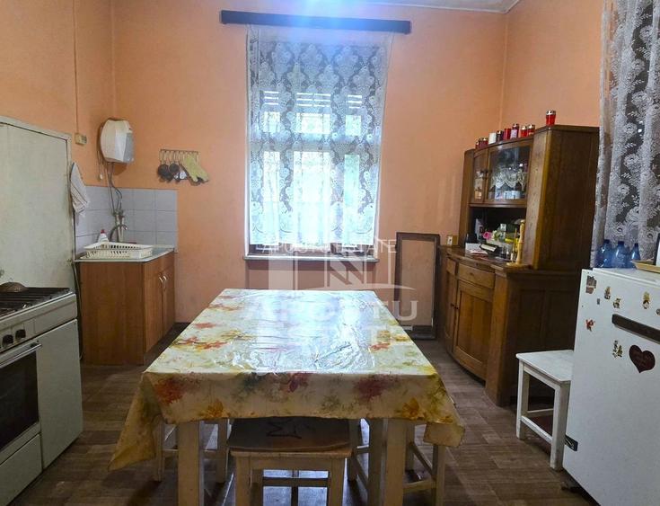 Proprietate cu potential turistic in Gurahont - 8