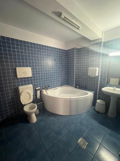 Domenii - 6 rooms villa for rent