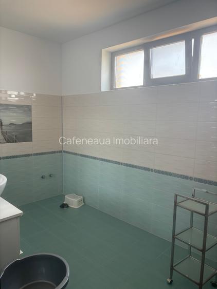 Casa Mihailesti-Giurgiu - 15