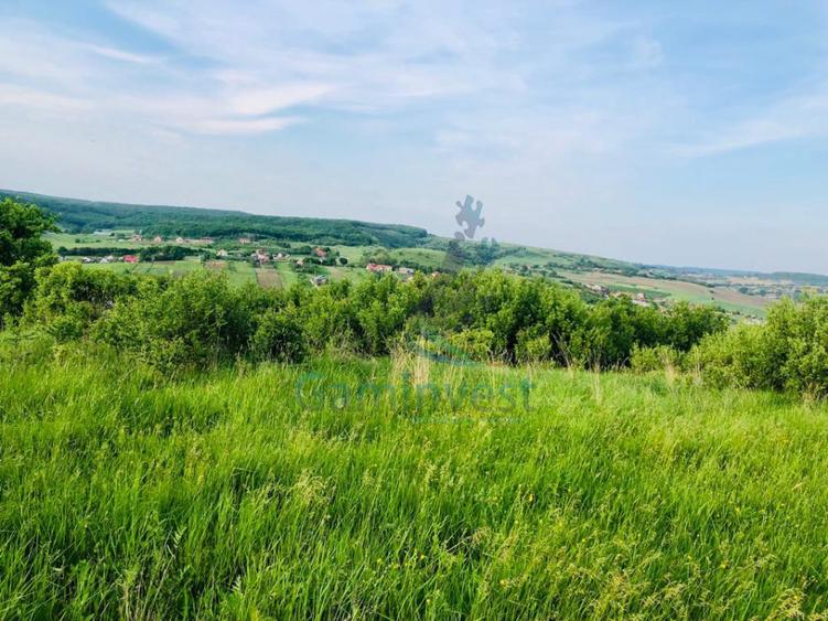 Teren mixt de vanzare in Hidiselu de Jos, Bihor