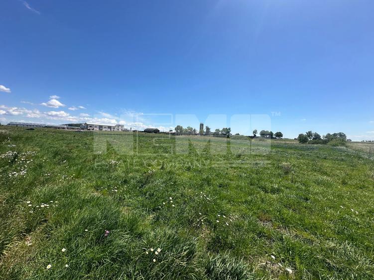 Teren intravilan 26 ari | Horodnic de Sus | Front stradal 23.32 m