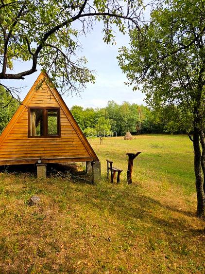 Poiană privată, pădure și cabană | Proprietate cu potențial turistic - 11