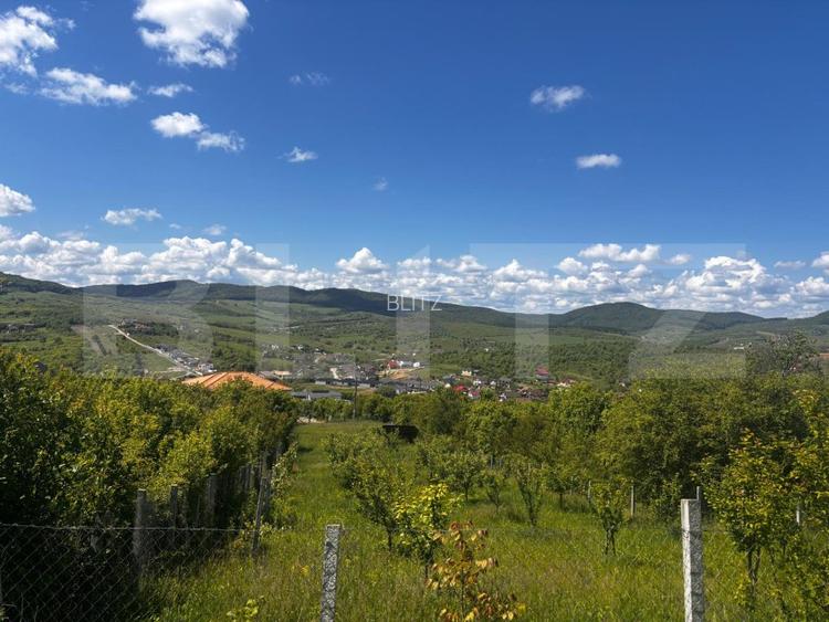 Teren extravilan de vanzare, 2500 mp, zona Valea Sigmirului - 5