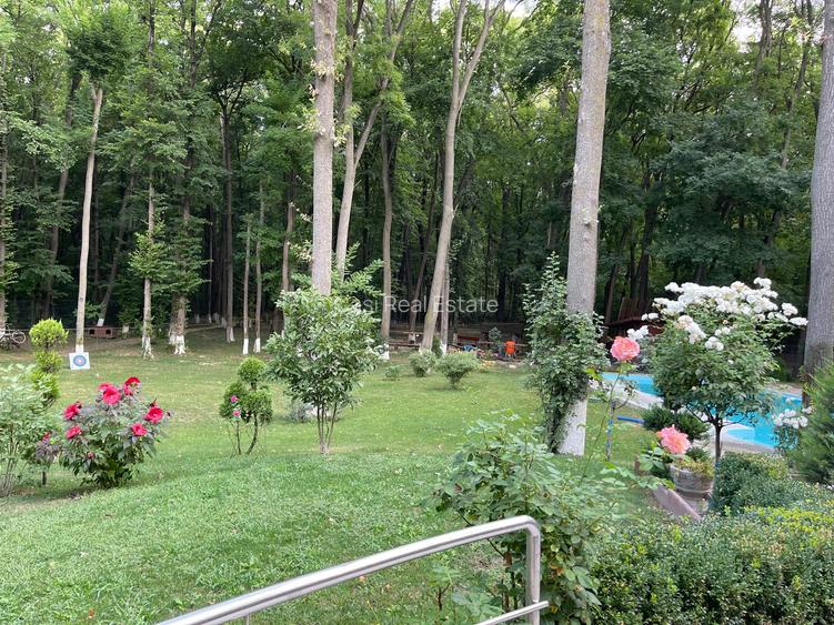 Vilă de lux 8 camere -600 mp si  4.750 mp teren cu ieșire in pădure zona pipera - 23