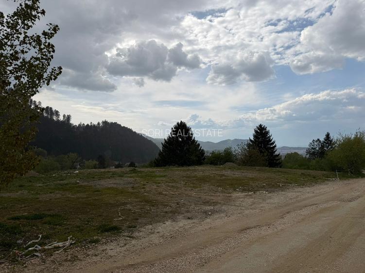 Teren, 500 mp, Sacele, str. Morii, priveliste spre Brasov - 5