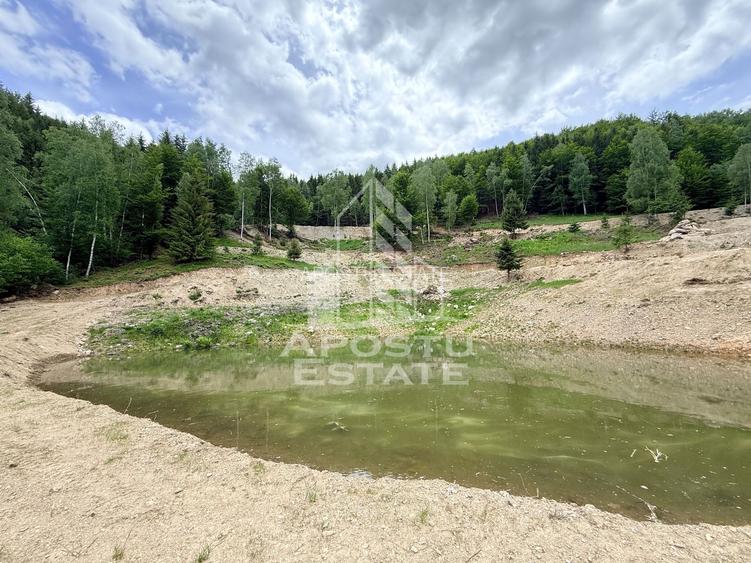 Oportunitate! Domeniu montan, cu lac propriu, oras Lupeni, Hunedoara - 57