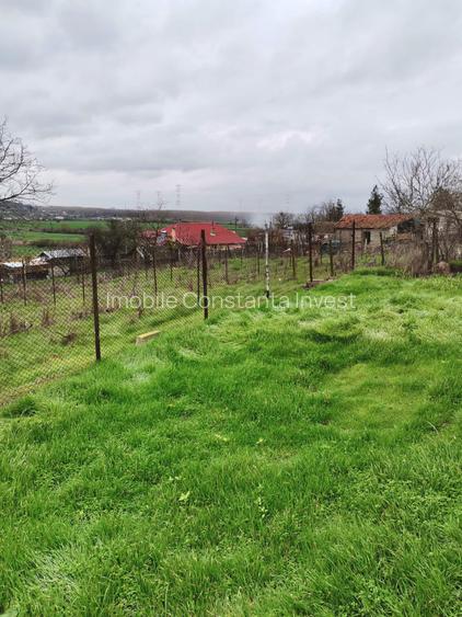 Seimenii Mici  Casa  Individuala 3 Camere Chirpici  S.teren  2100 Mp/42 Acte OK - 5