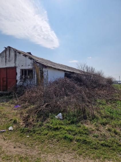 Fermă de vânzare 8 ha – Balș, județul Olt