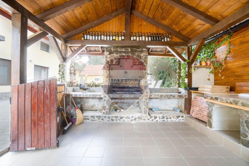 Proprietate de Poveste/ MANDRA/ DE VANZARE!- piscina exterioara! - 55