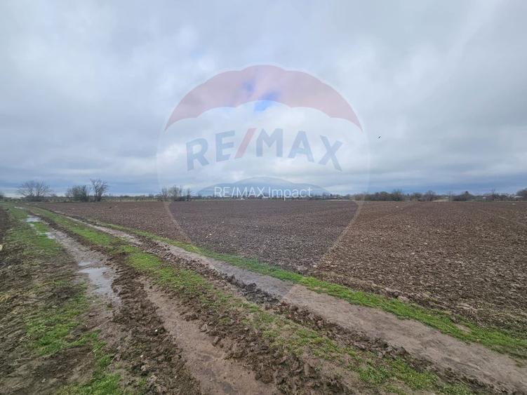 Parcel de teren casa de vanzare Giurgiu Primaria Adunatii-Copaceni - 4