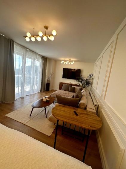 Studio premium de închiriat – renovat complet, mobilat și utilat lux, în Europe