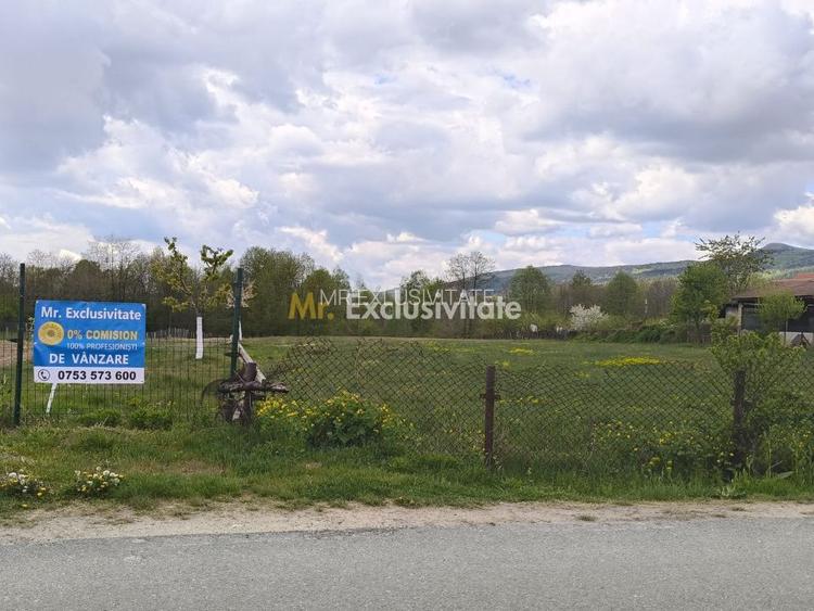 Teren mixt de vânzare Crasna Gorj, aproape de Rânca– 19.209 mp - 4