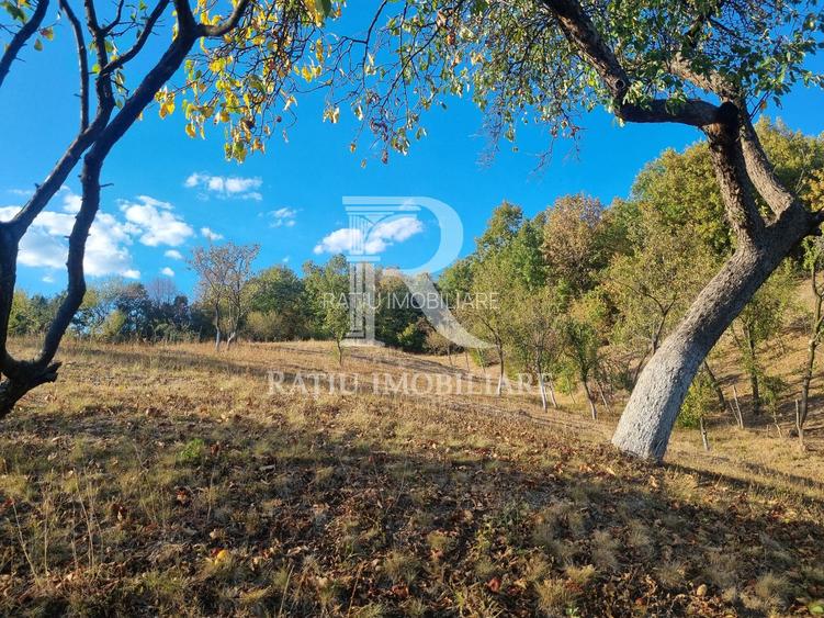 Casă renovata cu teren generos | Anexe | Gurasada | Hunedoara - 42