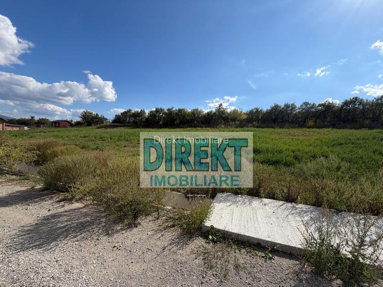 Teren de vânzare – Dealul Jelnei -  1.000 mp - 5
