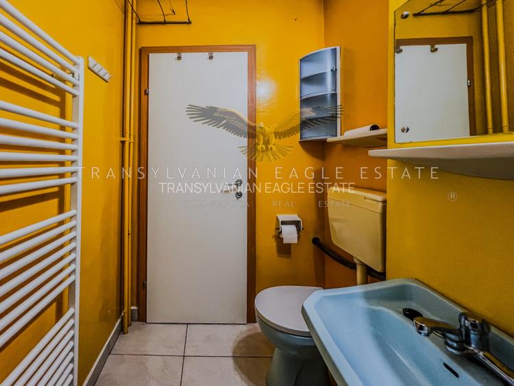 Apartament renovat cu 2 camere, situat în Gheorgheni/C. Brâncuși - 12