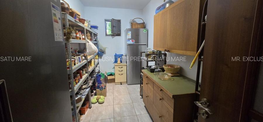De Vânzare Casă zona Lucian Blaga Satu Mare - 19