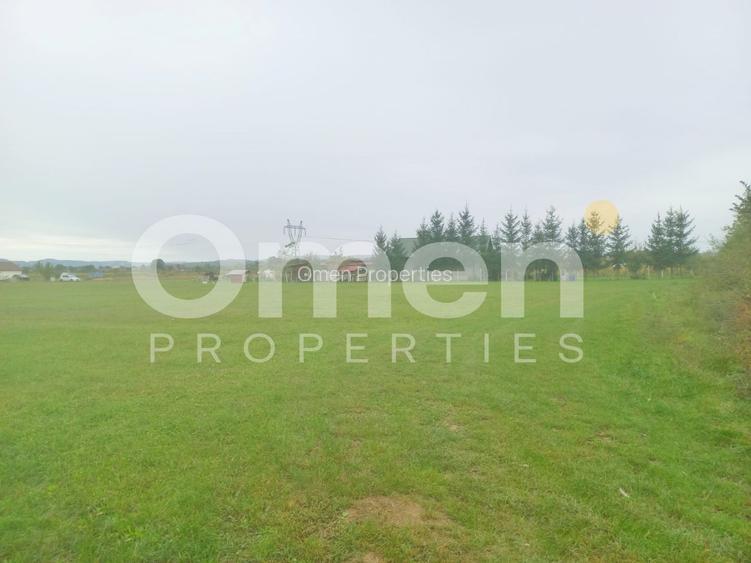 Teren intravilan 7.631 mp – Săcălășeni, lângă Baia Mare , utilități la drum - 2