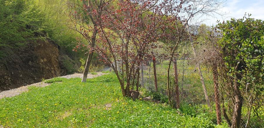 Vand  casa cu gradina