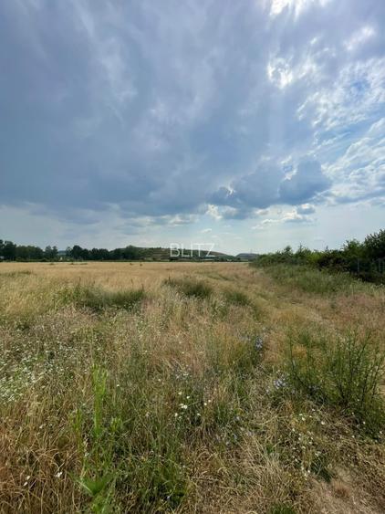 Teren investiție – 88 ari intravilan, front stradal 62 m, Italsofa - 3