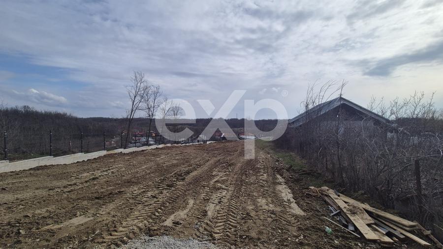Teren 1.500 mp lângă pădure, Albota – liniște, natură și potențial de parcelare