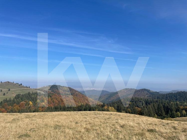 De vânzare teren în Păltiniș 40.000 EUR