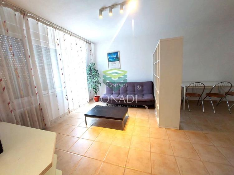 Sala Palatului, apartament cu 2 camere de inchiriat,  45 mp utili - 5