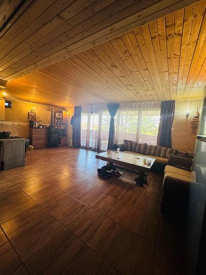 Casa Podgoria cu ponton pe malul Crisului