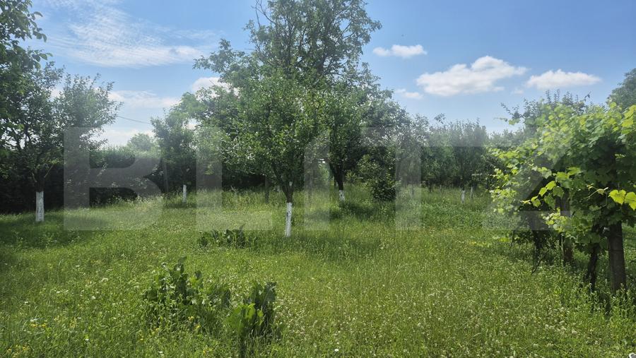 Proprietate de vanzare, teren 5488 mp, localitatea Ambud, comuna Paulesti