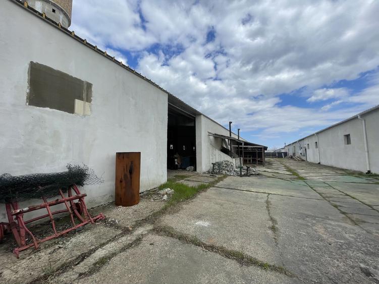 Hala Industrială / Agricolă | 800 MP Construcție + 800 MP Teren |