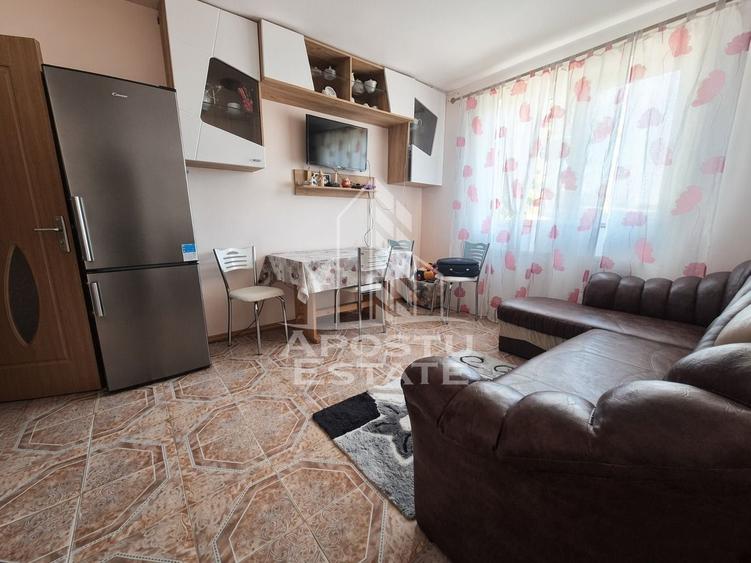 Apartament cu 2 camere de vanzare, Peciu Nou, Judet Timis