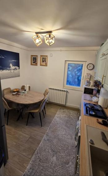 Apartament 2 Camere Tg Cucu