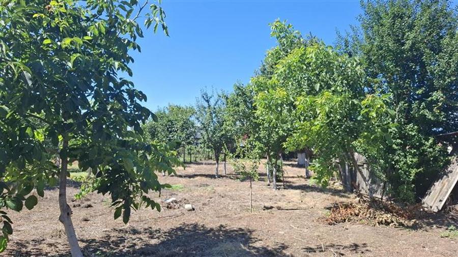 Casa cu teren 2783 mp- Panciu-Satu Nou
