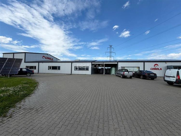 Spațiu Industrial Modern | Producție, Depozitare, Logistică - 16