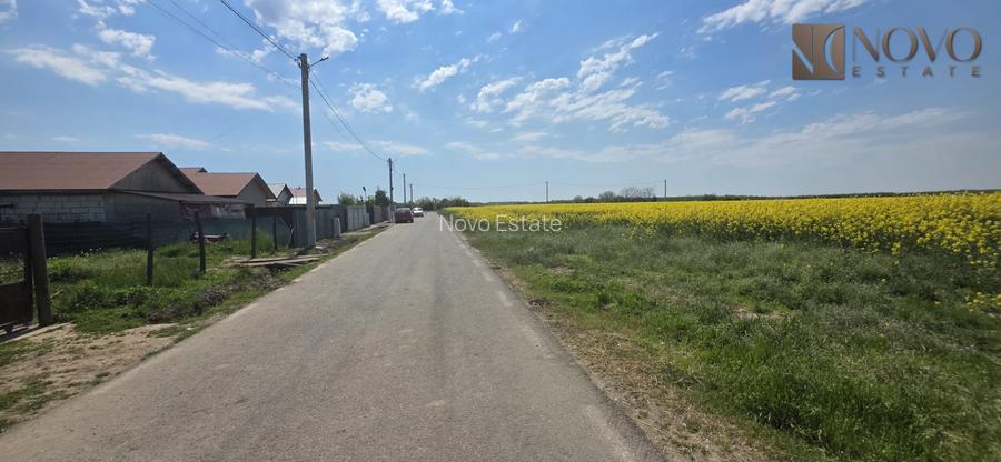 Teren 8000 mp | Sitaru-Gradistea | Oportunitate Dezvoltare - 9