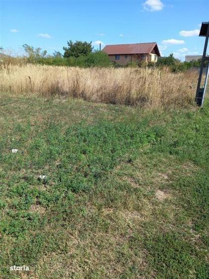 Teren Tamasi str Ateneului 80eur/mp